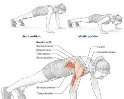 Pushups exercise