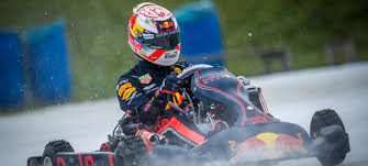 Here's The Rivals Ford F1 Driver Verstappen Wil Face In Go-Karts
