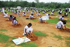 Image result for Tree plantation