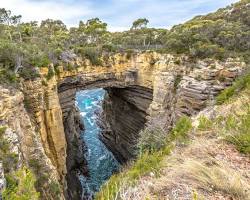 Image of The Tasmanian Arch, Australia