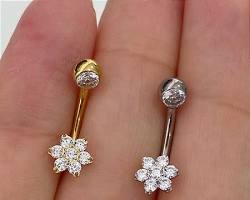 Imagem de Piercings genitais