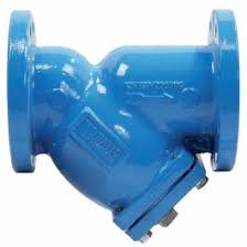 12" Wye Strainer