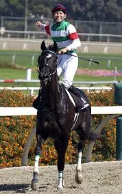 スポニチ競馬Web - News update