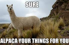Image result for over packing meme