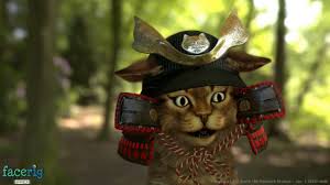 Resultado de imagen de FaceRig Pro