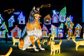 ¡Montreal se Ilumina! Un Festival de Luces Mágico Llega en Septiembre - Imagen principal del artículo