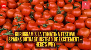 Gurugram’s La Tomatina festival sparks outrage instead of excitement – here’s why
