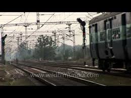 Image result for indian railway accidents gaisal