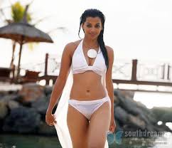 Image result for hot bollywood