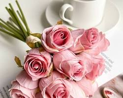 Image de Fleur rose