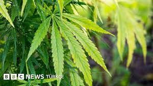 BBC - News update