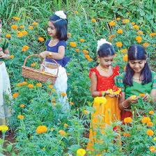 Mathrubhumi - News update