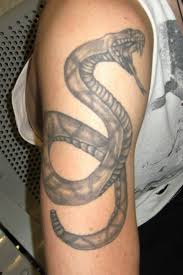 Image result for black cobra with sweet girl