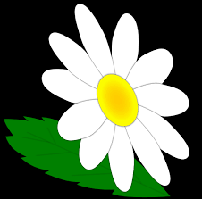 Image result for free clip art daisy