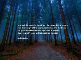 Nature Quotes for Camp on Pinterest | John Muir Quotes, John Muir ... via Relatably.com