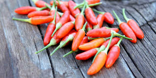 Image result for cabai rawit