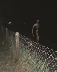 benadryl on X: "Hey! #artistsontwitter I show you my nightmares :) https://t.co/QWsktUy18y" / X