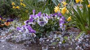 unwetter