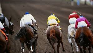 News source: France Bleu