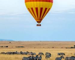 Image of Hot air balloon ride over Amboseli