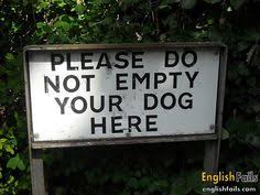 Image result for fun indian dogs