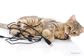 catelec