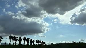 El Sol de México - News update