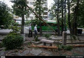 نتیجه تصویری برای طوفان تهران را درنوردید