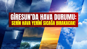 Yeni Şebinkarahisar Gazetesi - News update