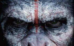 Image result for extreme close up in film