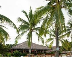 薄荷海灘俱樂部度假村 (Bohol Beach Club Resort), Bohol Island的圖片