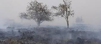 Waldbrand im Hohen Venn: Sorge in Grenzregion wegen Feuer in Belgien — tagesschau.de