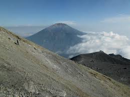 Hasil gambar untuk pecinta alam indonesia