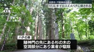 au Webポータル - News update