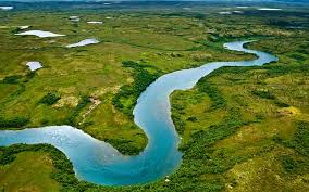 Image result for rivers