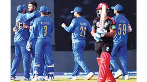 Cricket match action shot