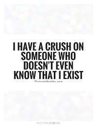 i-have-a-crush-on-someone-who-doesnt-even-know-that-i-exist-quote-1.jpg via Relatably.com