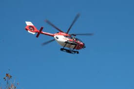Schwarzwald aktuell - News update