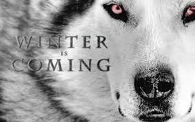 Image result for winter is coming