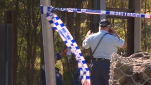 News source: ABC News