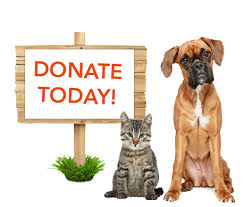 Image result for donate for rescue pets