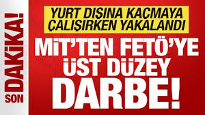 Haber7 - News update