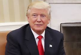 Image result for president donald trump