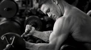 Kết quả hình ảnh cho arm fitness