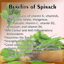 Image result for health benefits of longevity spinach