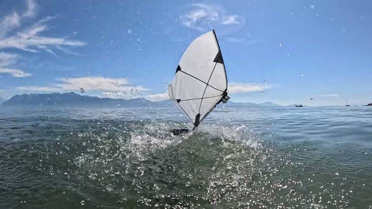 New robot FAAV reveals flight mechanics of diving birds, capable of swimming and flying without paddling feet