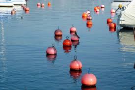Image result for buoy