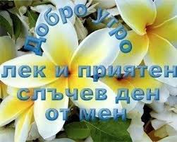 images?q=tbn:ANd9GcS5mEI14Ymcj55erYBcV29BADNB-AyL8oYUeTf6AoK5ZHEUNNyWpQ