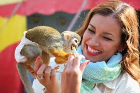 Jana Ina Zarella poses with a monkey during the photocall for &quot;Tierstar&quot; Children Award on May 15, 2011 in Cologne, Germany. - Jana%2BIna%2BZarella%2BTierstar%2BChildren%2BAward%2BqOkqOnhmlt7l
