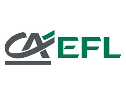 Znalezione obrazy dla zapytania EFL LOGO